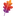 Favicon de www.apache.org