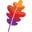 Favicon de www.apache.org