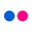 Favicon de www.flickr.com