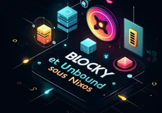 Couverture de Blocky et Unbound sous NixOS