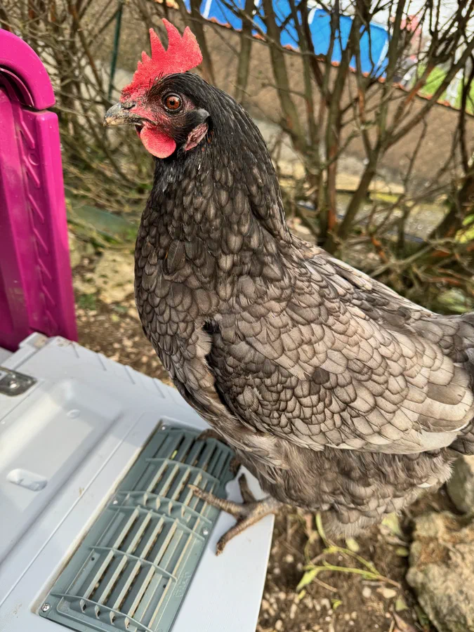 Inspection des travaux finis