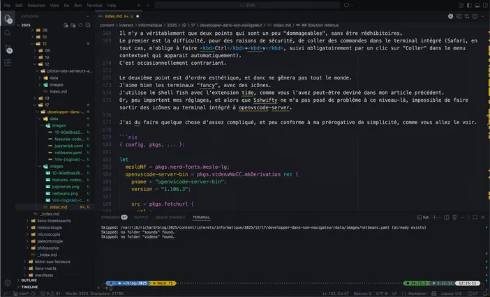 Capture d'écran de l'interface OpenVSCode Server affichant un article en cours d'édition avec du texte et des commandes Nix.