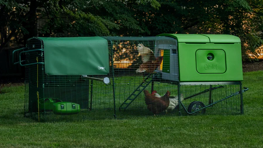 La lumière est discrète mais suffisante pour orienter les poules vers le poulailler à la tombée du jour. &copy; Omlet