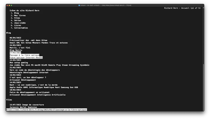 Capture d'écran du site web de Richard Dern dans le navigateur links2.