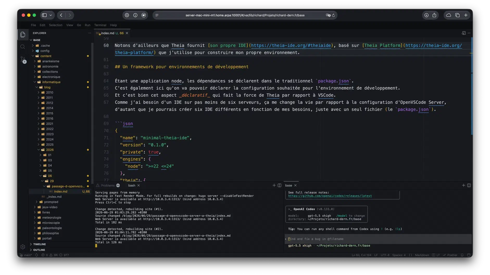 Vignette de Passage d'OpenVSCode Server à Theia