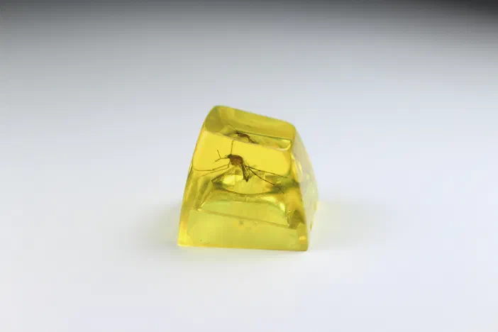 Un clavier personnalisé en plastique jaune translucide contenant une mouche piégée à l'intérieur.
